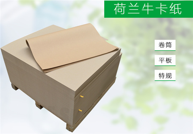 002荷蘭?？?jpg
